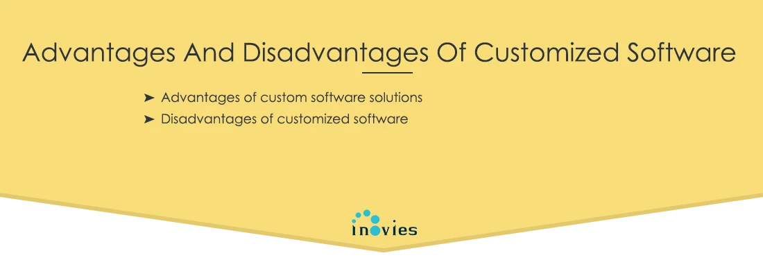 advantages and disadvantages of customized software