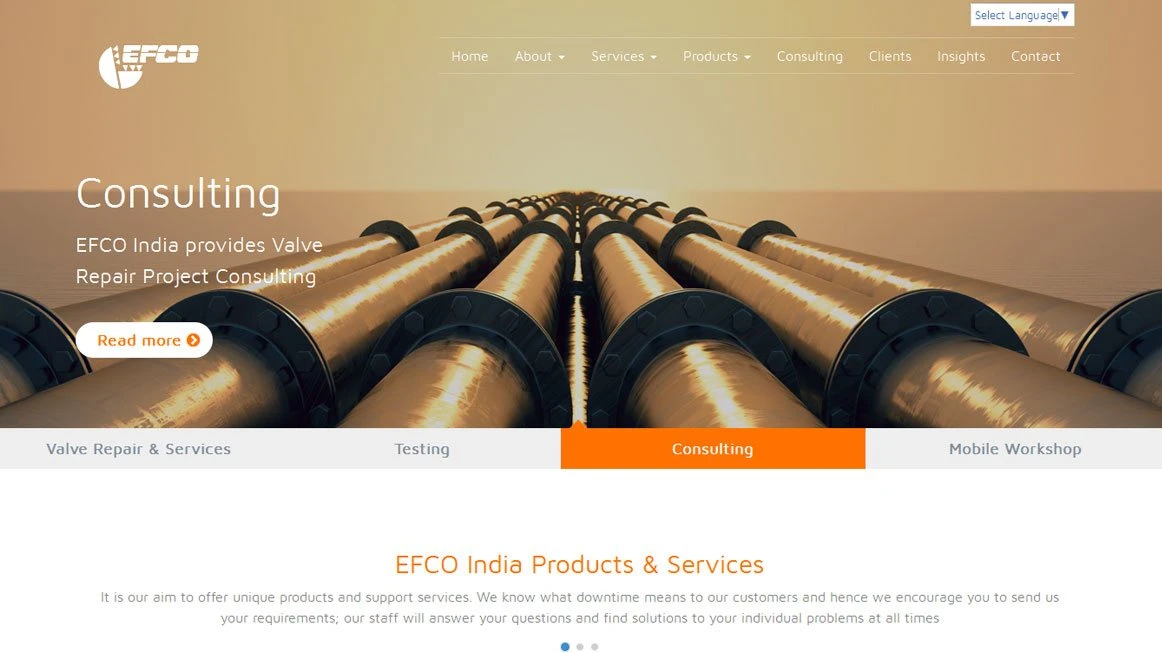 Slide 1:Project portfolio screen shot for Financials for Office 365 Kentico Web Design & Development project