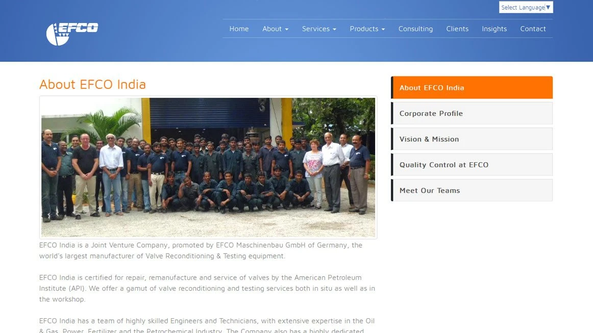 Slide 2:Project portfolio screen shot for Financials for Office 365 Kentico Web Design & Development project