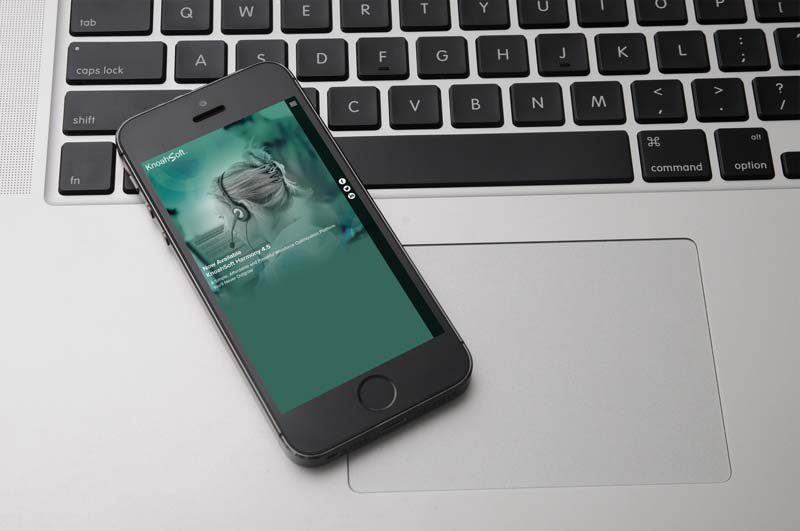 block41 - inovies web design and development company portfolio