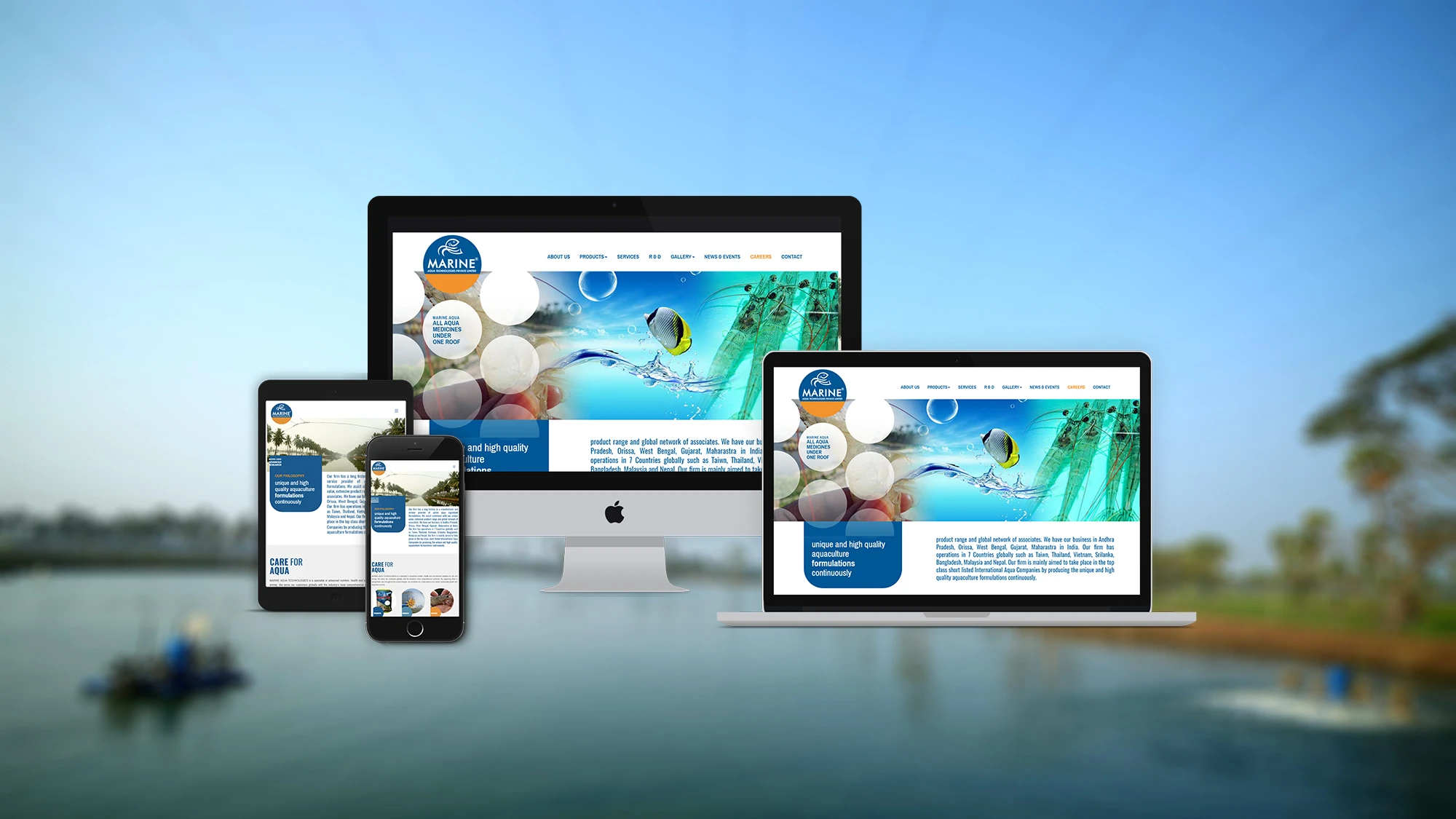 block1 - inovies web design and development company portfolio