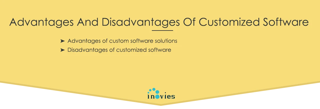  advantages and disadvantages of customized software